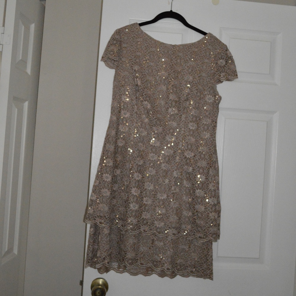 Alex Evenings Petite Dress